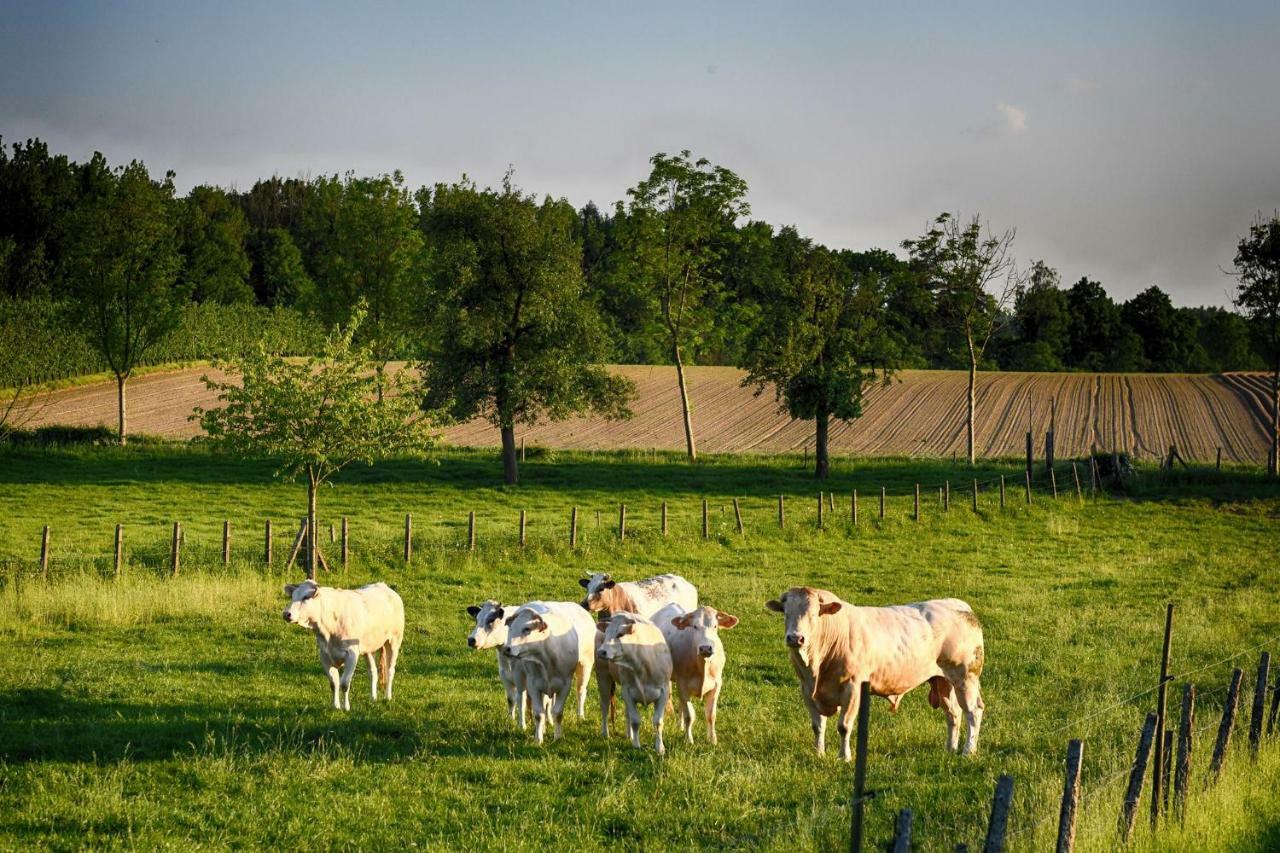 B&B De Bloesem Hoeselt 外观 照片